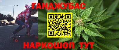 шишки Будённовск
