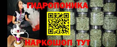 шишки Будённовск