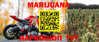 гидра Бузулук