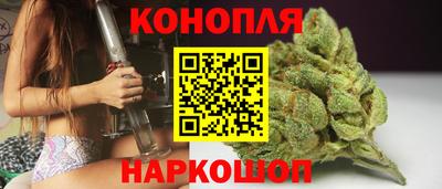 шишки Будённовск