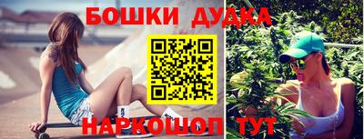 шишки Будённовск